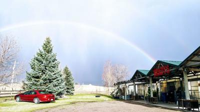 Brady S Plant Ranch Sees Surge In Beef Deliveries Amid Coronavirus Pandemic Miscellaneous Crops Postregister Com