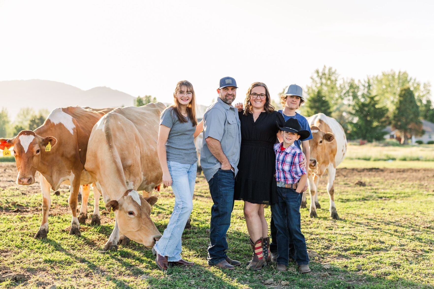 postregister.com - Heather Smith Thomas
For Farm & Ranch - Loleta Farms raises Guernsey cows in North Idaho