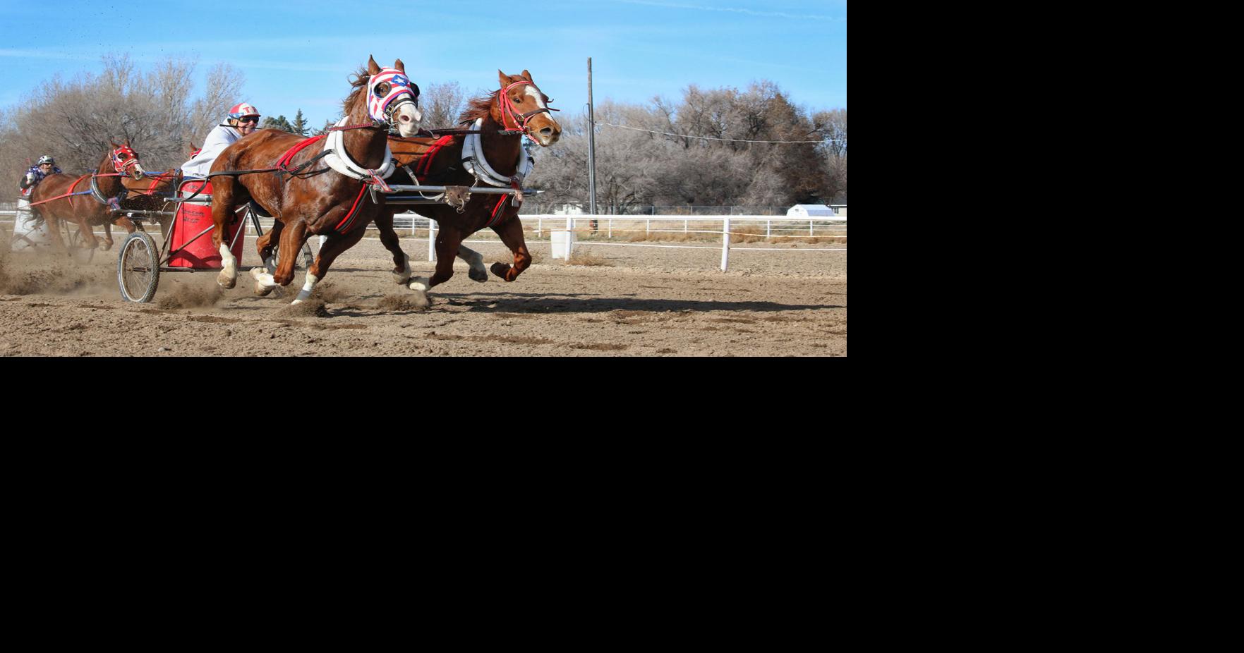 2021 Chariot Race results | News | postregister.com