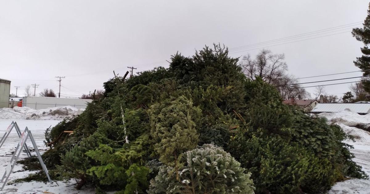 City of Ammon to hold annual Christmas tree bonfire | Local News ...