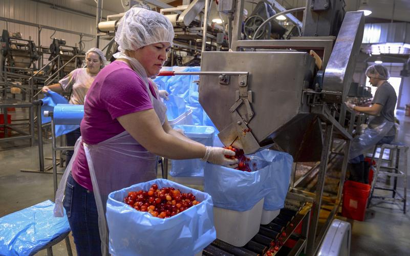 Utah's growing population could threaten cherry production Crops