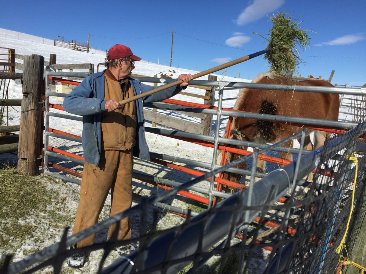 Winter fun on the ranch Couple saves Lava Hot Springs farm and ranch