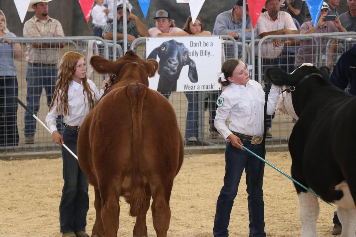 Back To Basics County Fair Finds Success With Junior Livestock Show Rodeo Livestock Postregister Com
