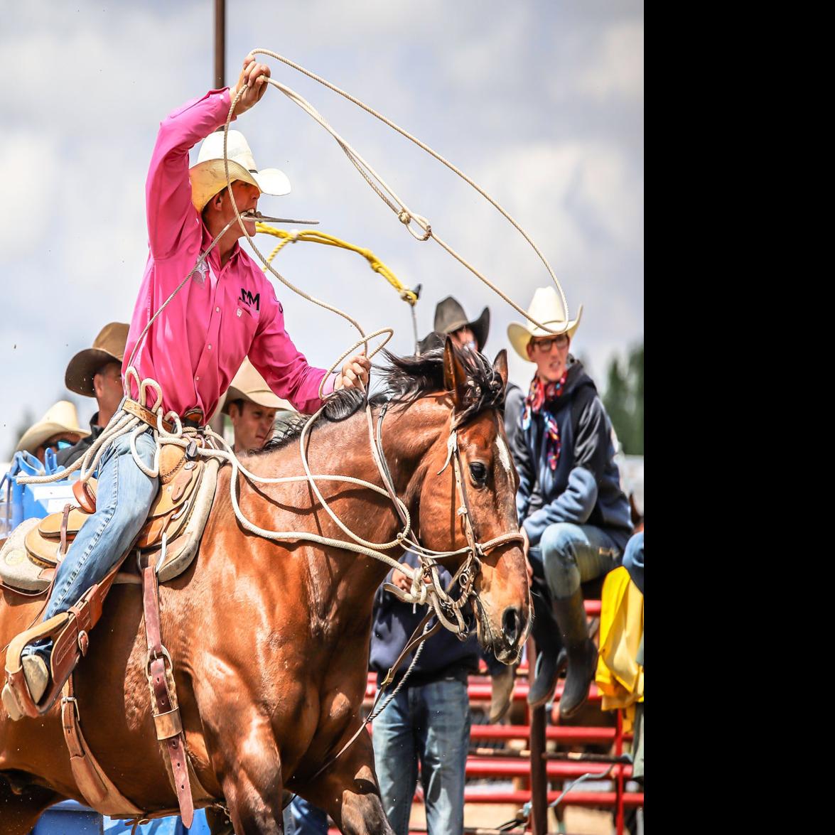 A Look At The 21 State High School Rodeo Finals Tie Down Roping Sports Postregister Com