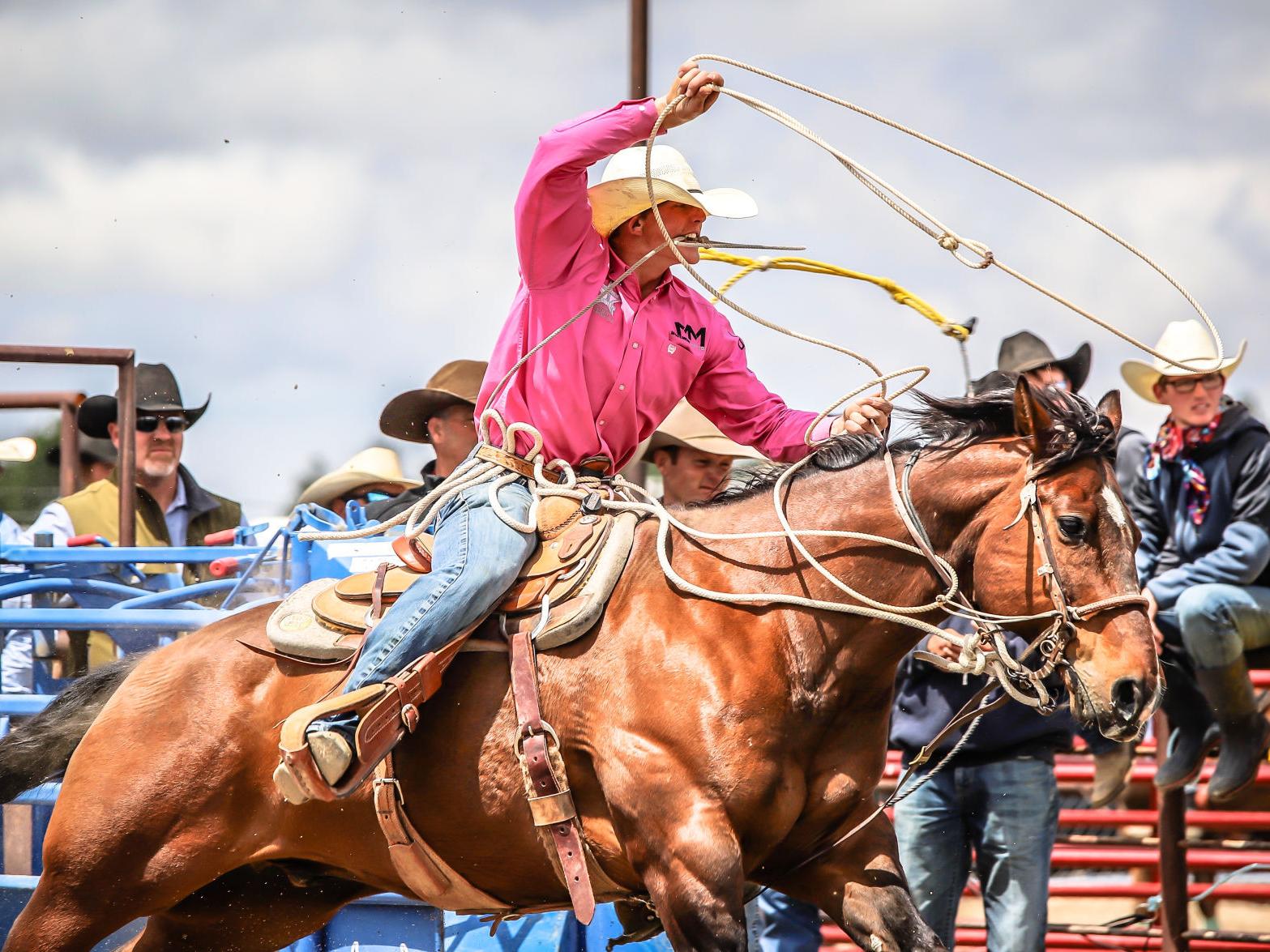 A Look At The 21 State High School Rodeo Finals Tie Down Roping Sports Postregister Com A Look At The 21 State High School Rodeo Finals Tie Down Roping Sports Postregister Com