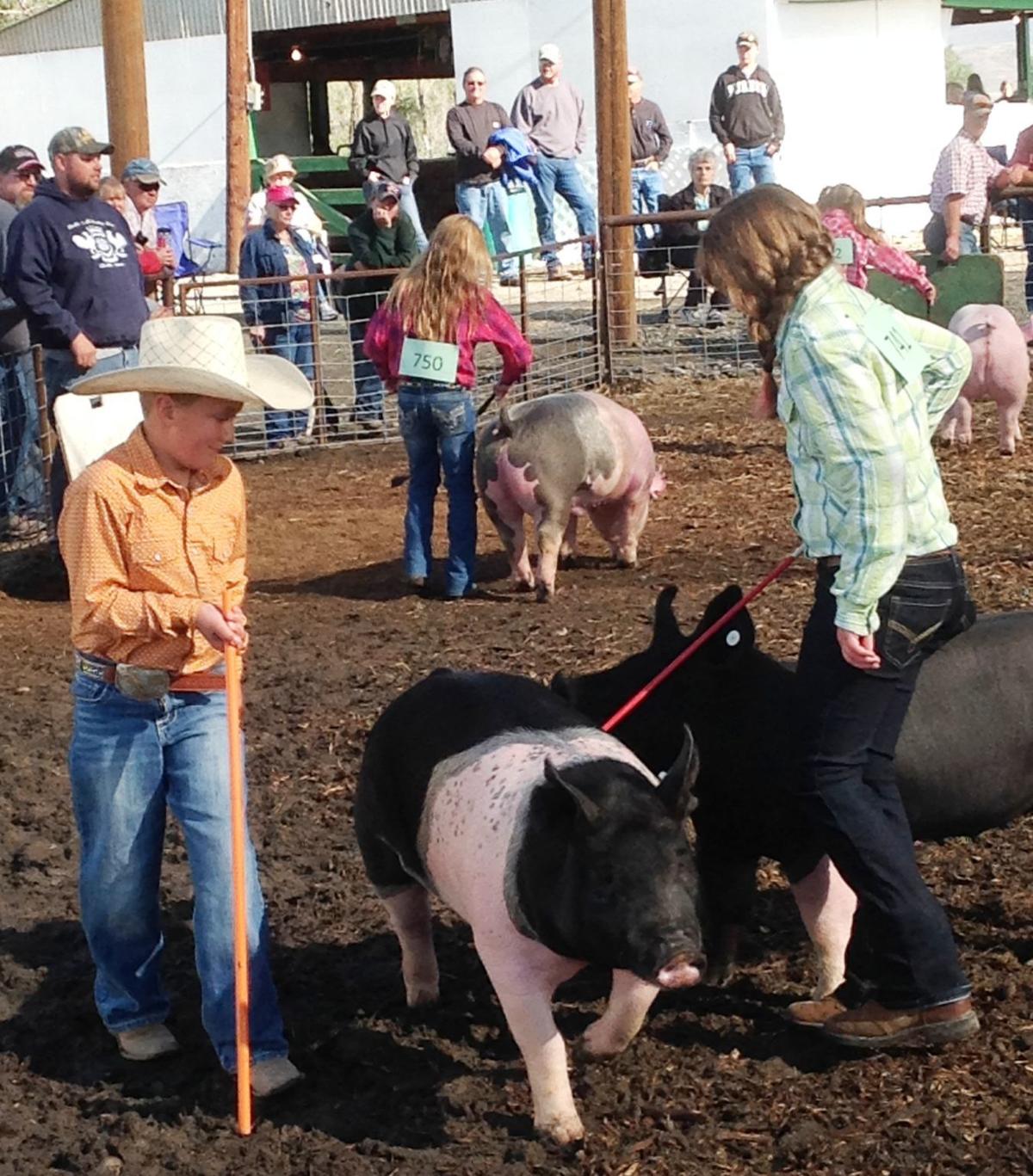 It Takes An Army Of Volunteers To Host A Small County Fair 4 H Postregister Com