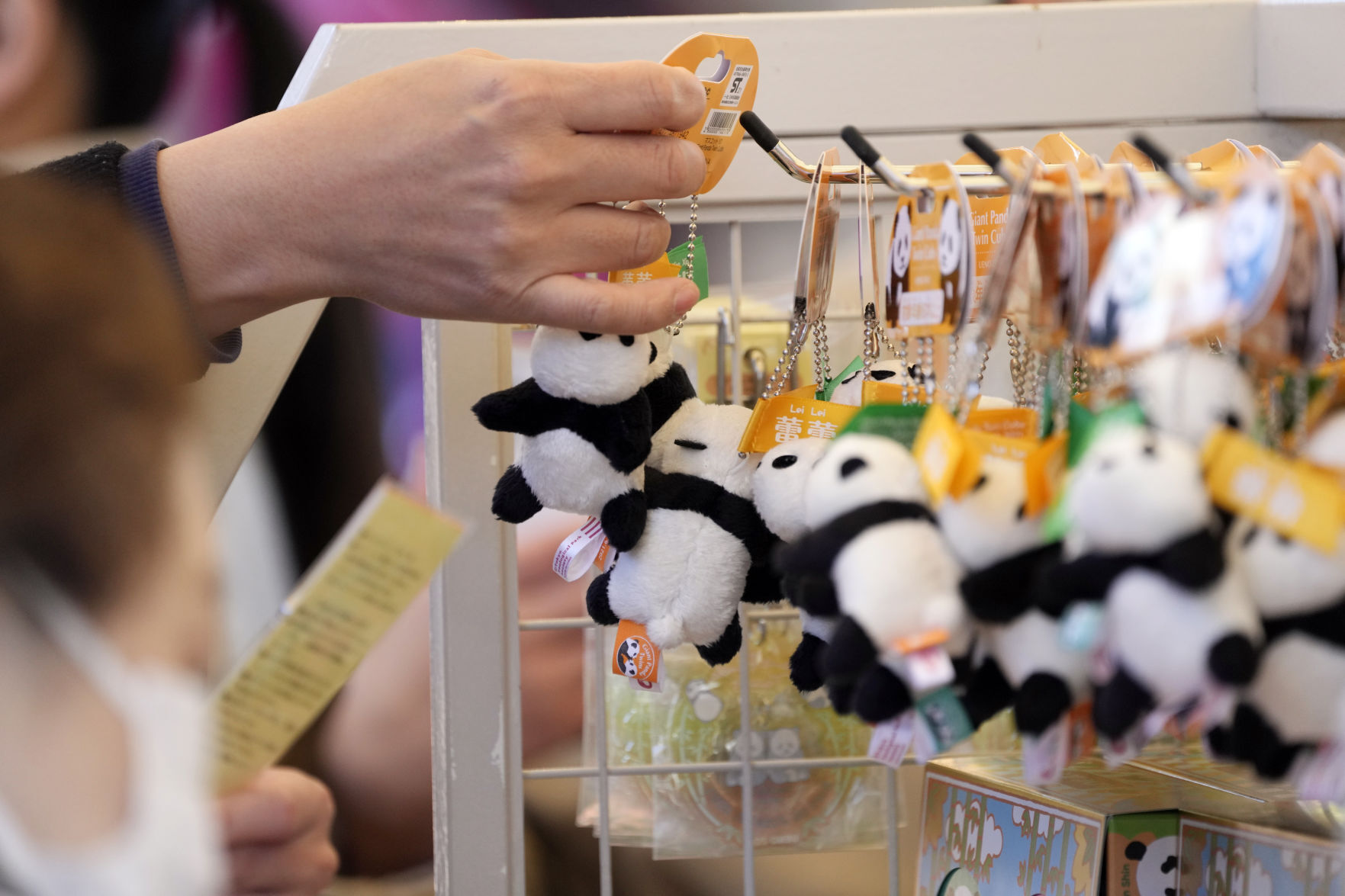 Twin panda cubs debut at Tokyo zoo, woo devoted fans | Features