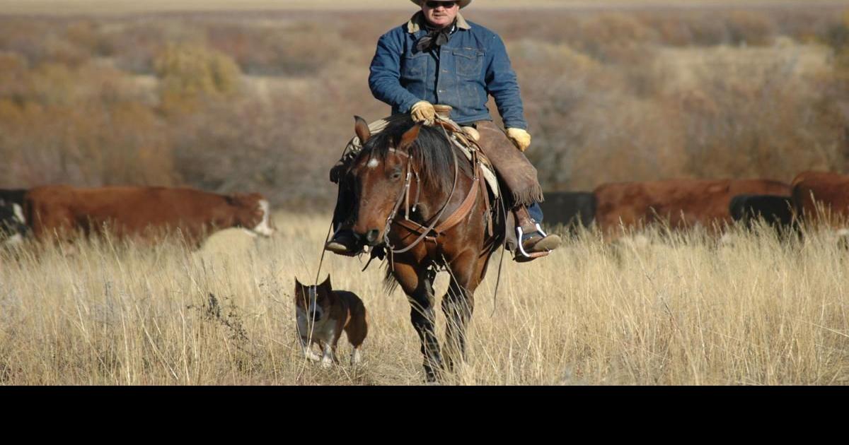 Idaho ranching family takes stand against gold exploration along ...