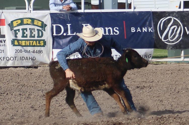 Nick Chappell's focus squarely on Guthrie Sports