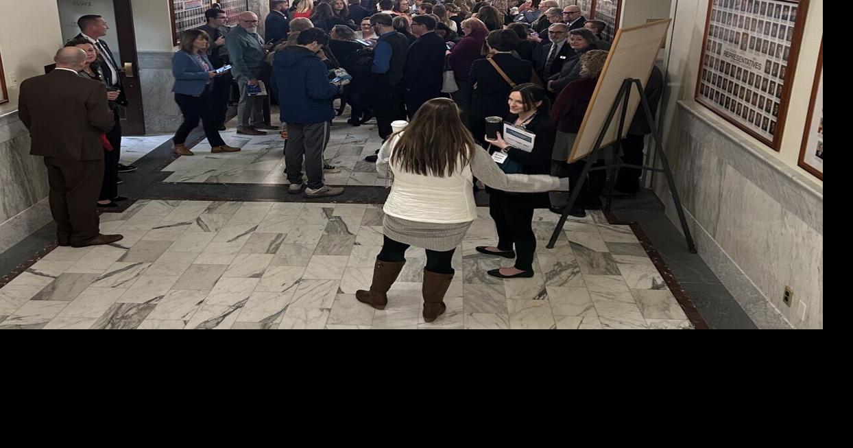 Hundreds attend hearing on library bill | Government | postregister.com