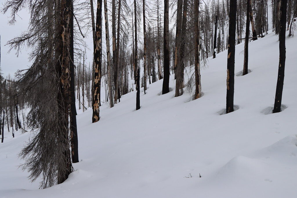 Idaho had normal precipitation but less snow this winter | Western Life ...
