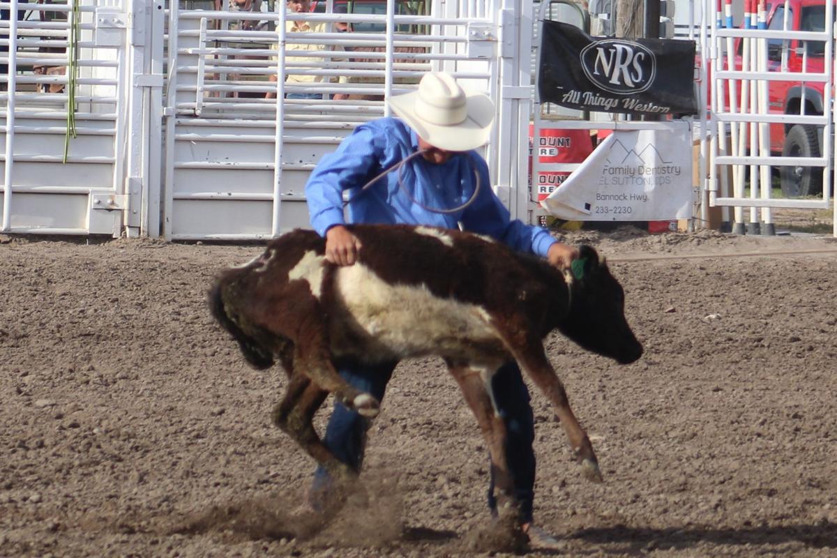 A Look At The 21 State High School Rodeo Finals Tie Down Roping Sports Postregister Com A Look At The 21 State High School Rodeo Finals Tie Down Roping Sports Postregister Com