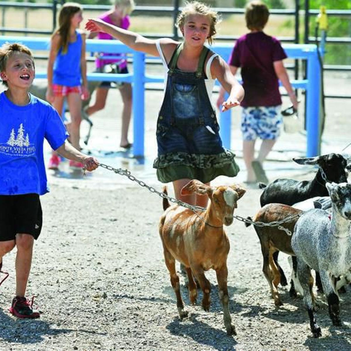 Several County Fairs Are Upcoming In East Idaho Eastern Idaho Postregister Com Eastern Idaho Fair Dates 2022