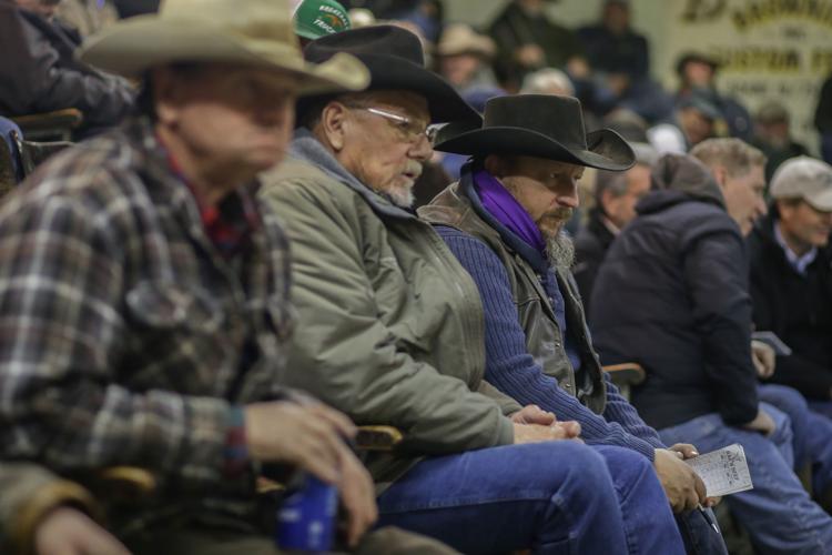 Going, going, gone — saying goodbye to the Idaho Falls stockyards Local News