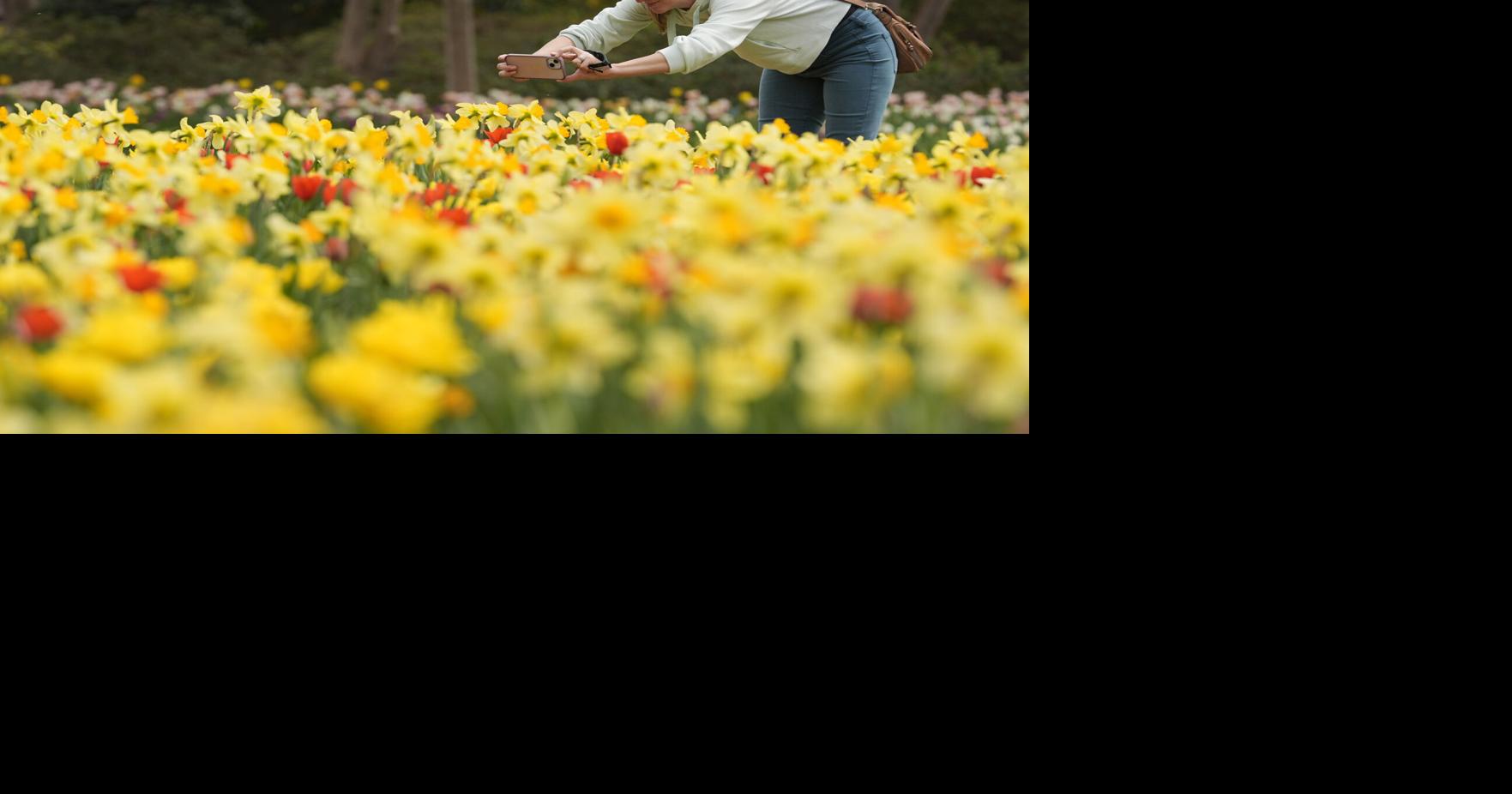 Spring starts early after record-warm winter | News | postregister.com