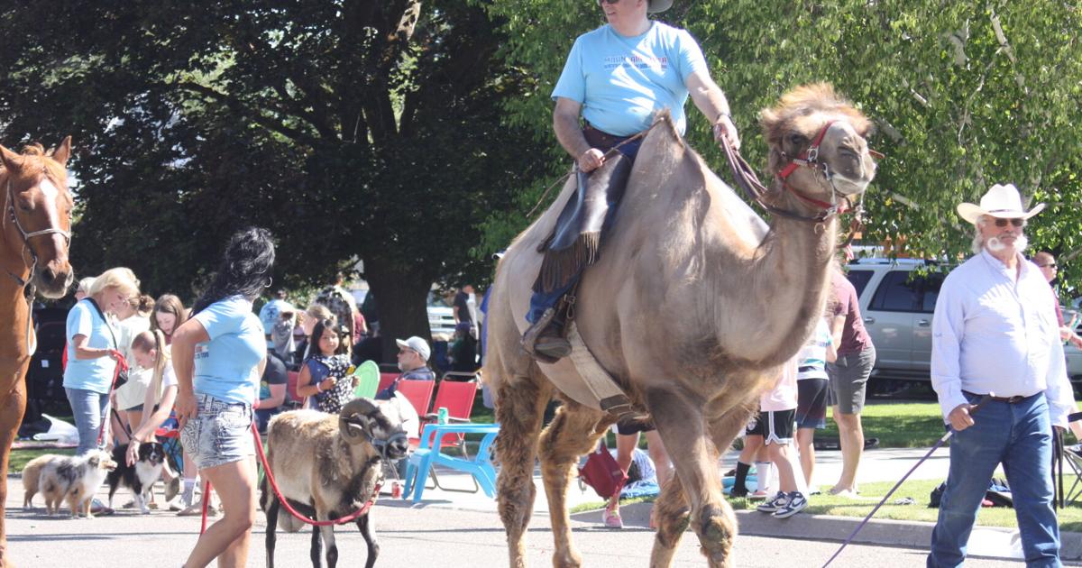 Rigby Celebrates 2024 Stampede Days | News | postregister.com