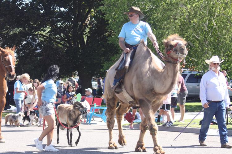 Rigby Celebrates 2024 Stampede Days News