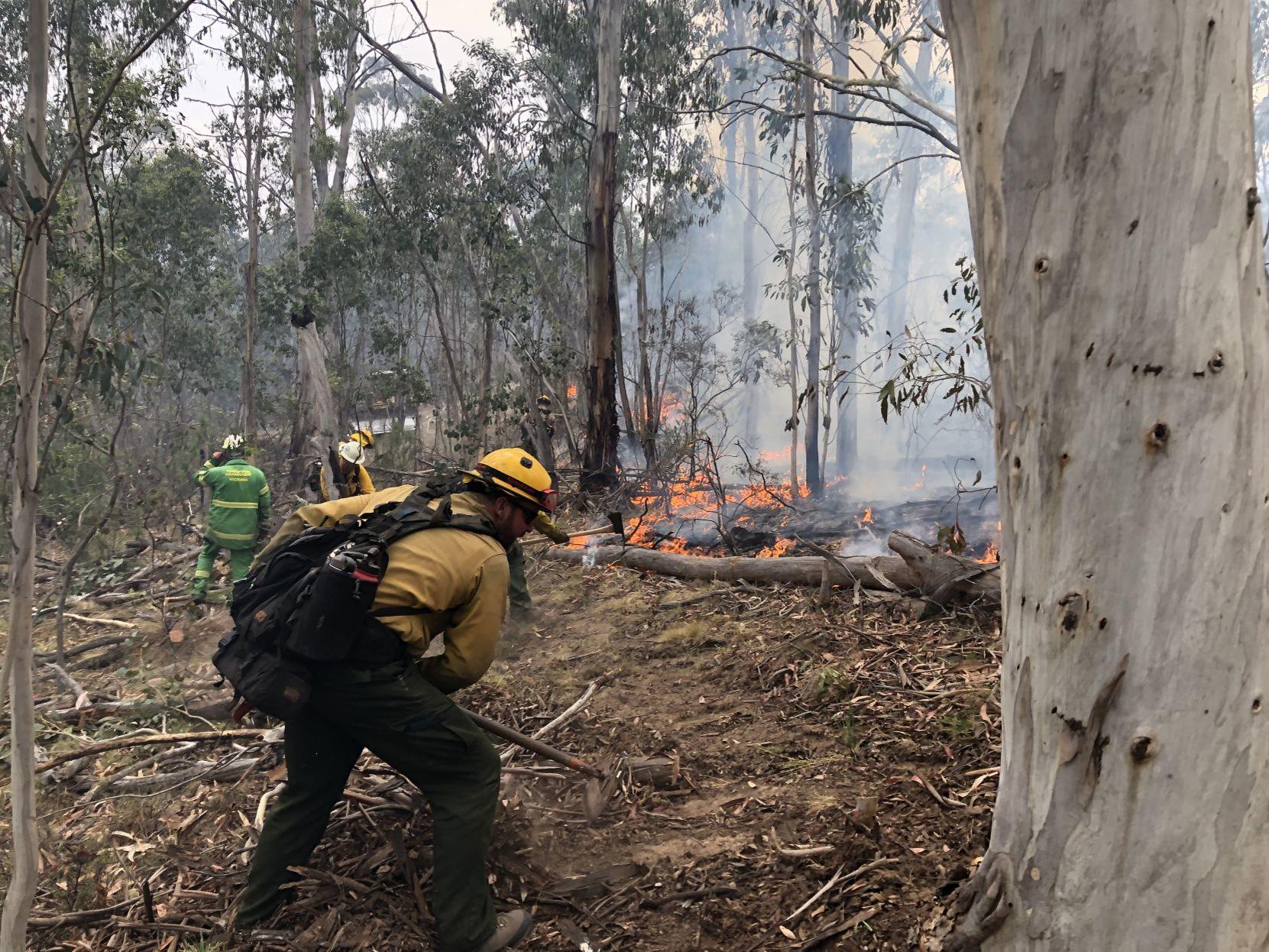 Idaho S Blm Firefighters Return From Australia Fire Relief Local
