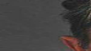 Opinion: Pardon of crypto king begs for constitutional reform | Guest  Column | postregister.com