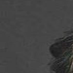 Opinion: Pardon of crypto king begs for constitutional reform | Guest  Column | postregister.com