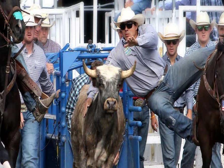 Tyler Wade - WNFR Team Roping Headers