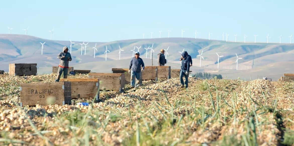 postregister.com - TIM HENDERSON
Stateline - Trump allows more foreign ag workers, eases off ICE raids on farms