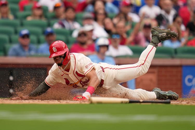 Cardinals shortstop Masyn Winn has a 'clear' MRI on sore left knee | Pro Sports | postregister.com