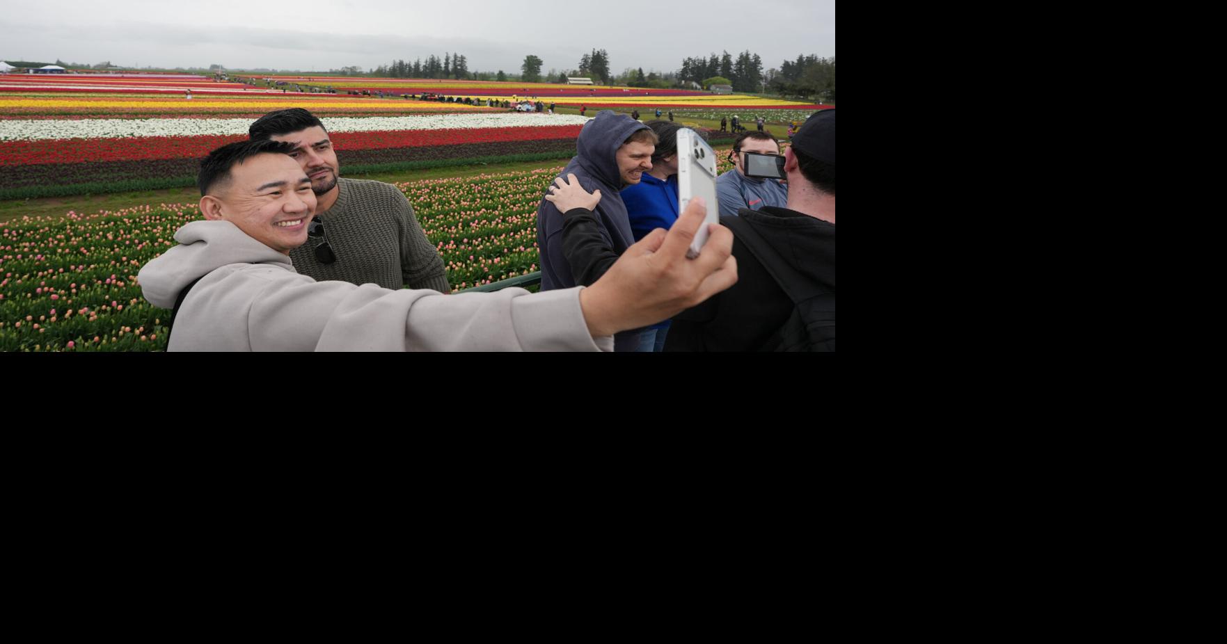 69db023de262c.image.jpg?crop=1763,926,0,