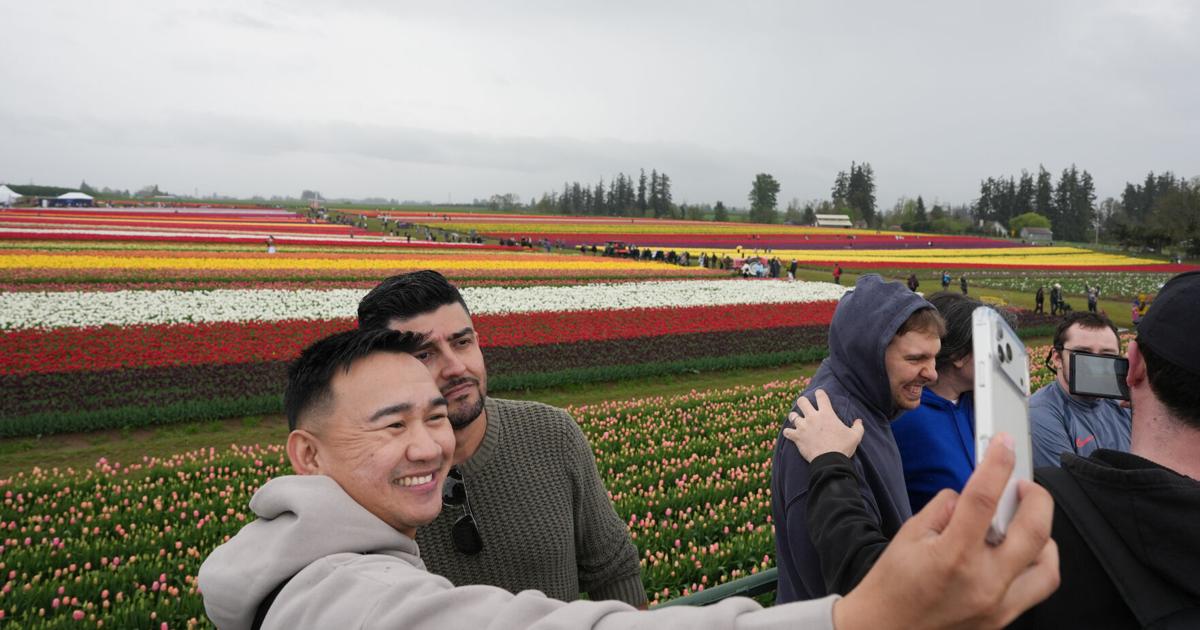 69db023de262c.image.jpg?crop=1763,926,0,