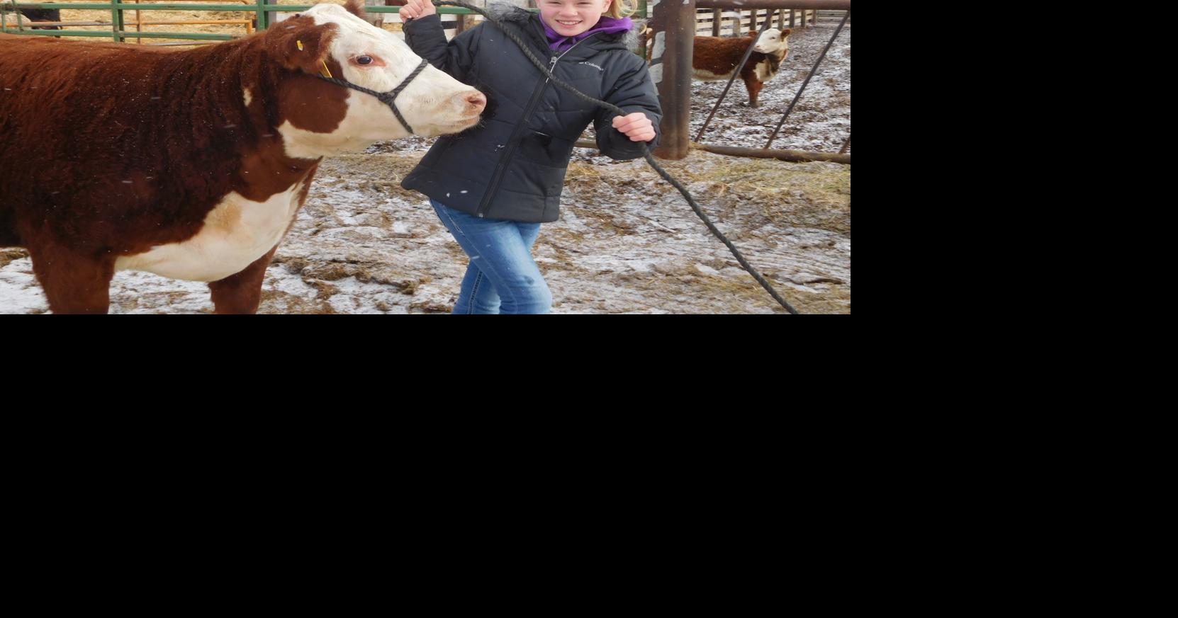 Blackfoot ranch to show bulls in livestock 'Super Bowl' Eastern Idaho