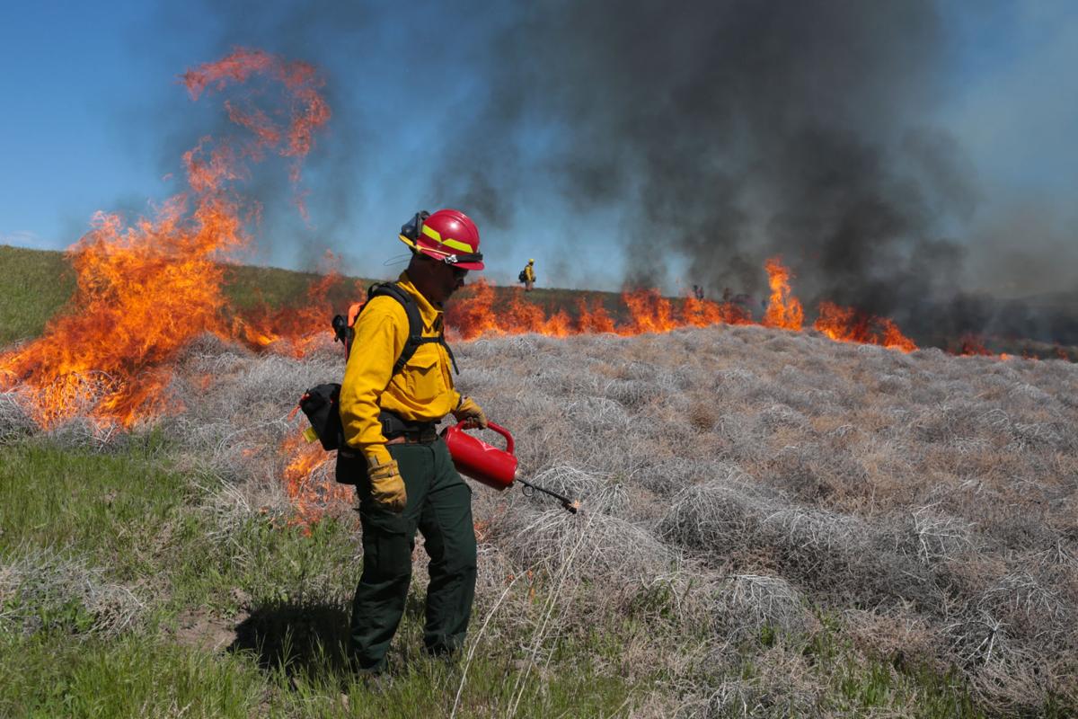 controlled burn