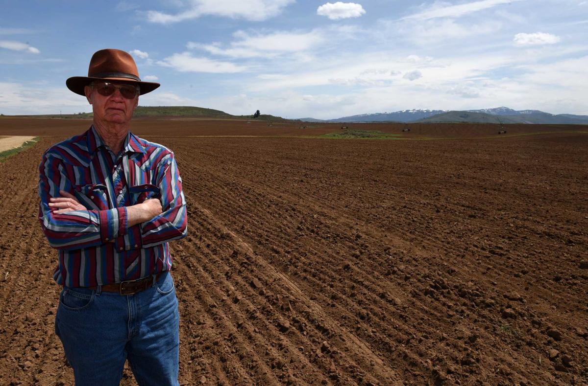 Idaho Farmer S Elk Damage Claim Exceeds 1 Million Crops Postregister Com