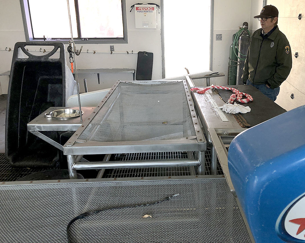 Pahsimeroi hatchery prepping for spring steelhead return | News ...