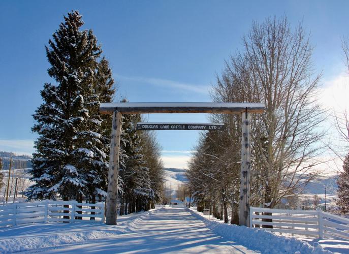 Douglas Lake Cattle Company is a historic ranch with modern management ...