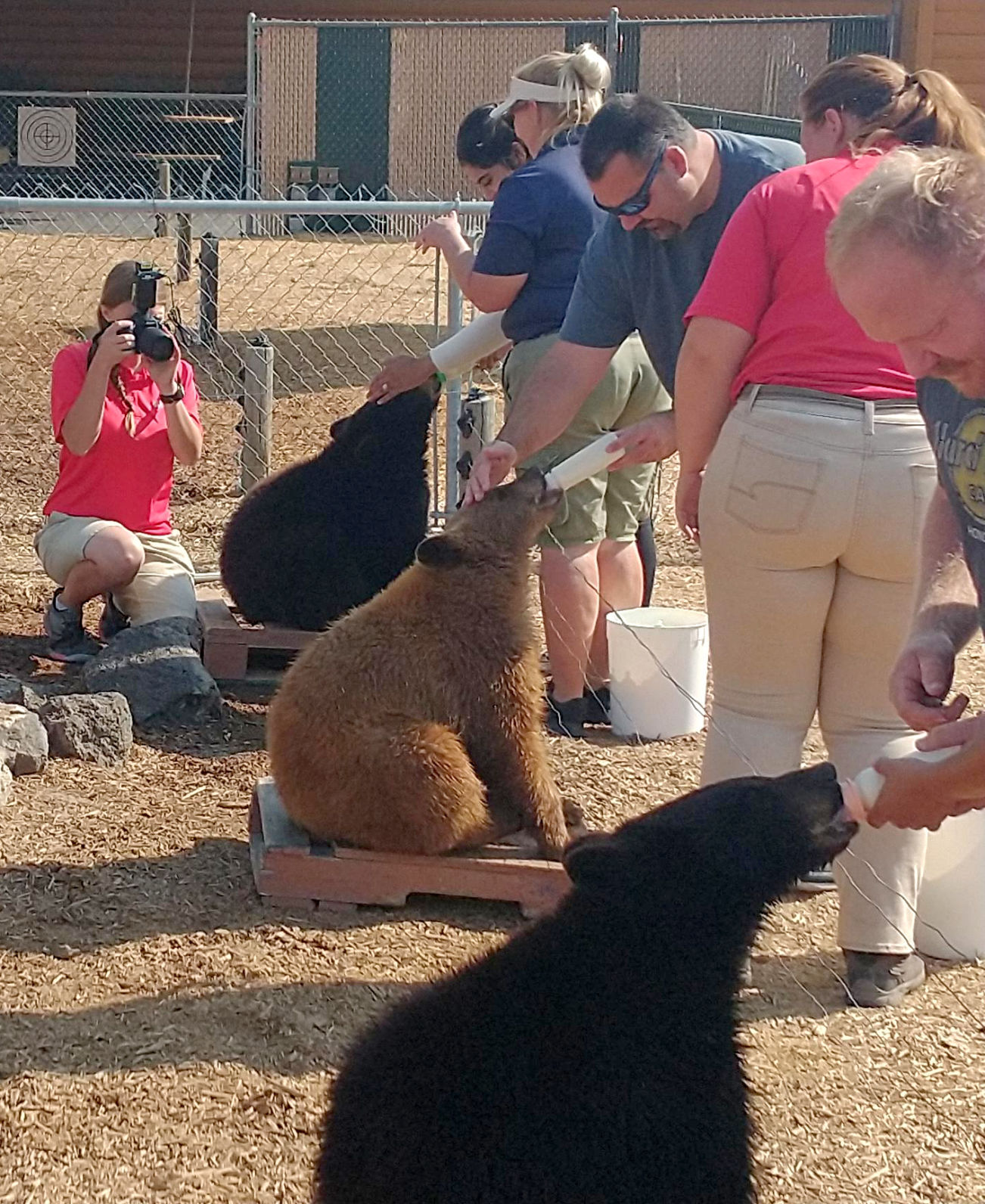 Animal activists put spotlight on Yellowstone Bear World Local News postregister