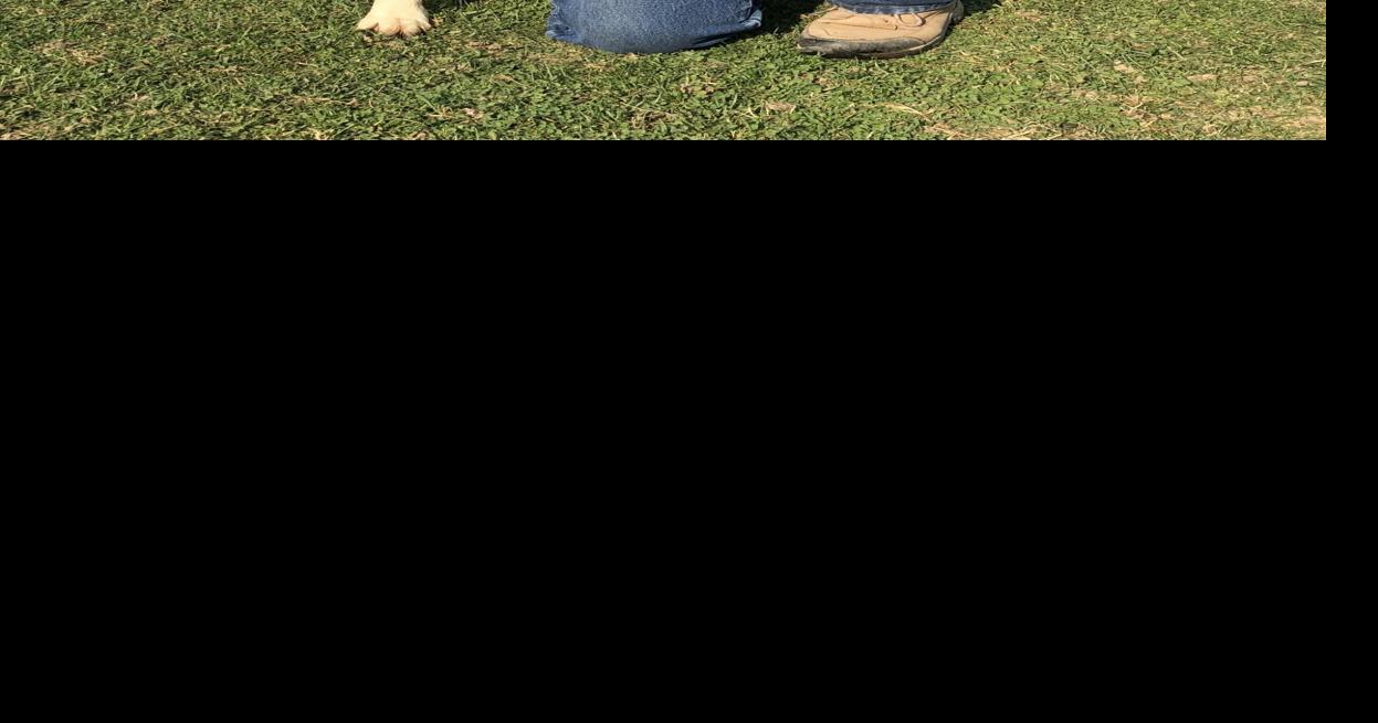 Payette farm dog finalist for Dog of the Year Livestock