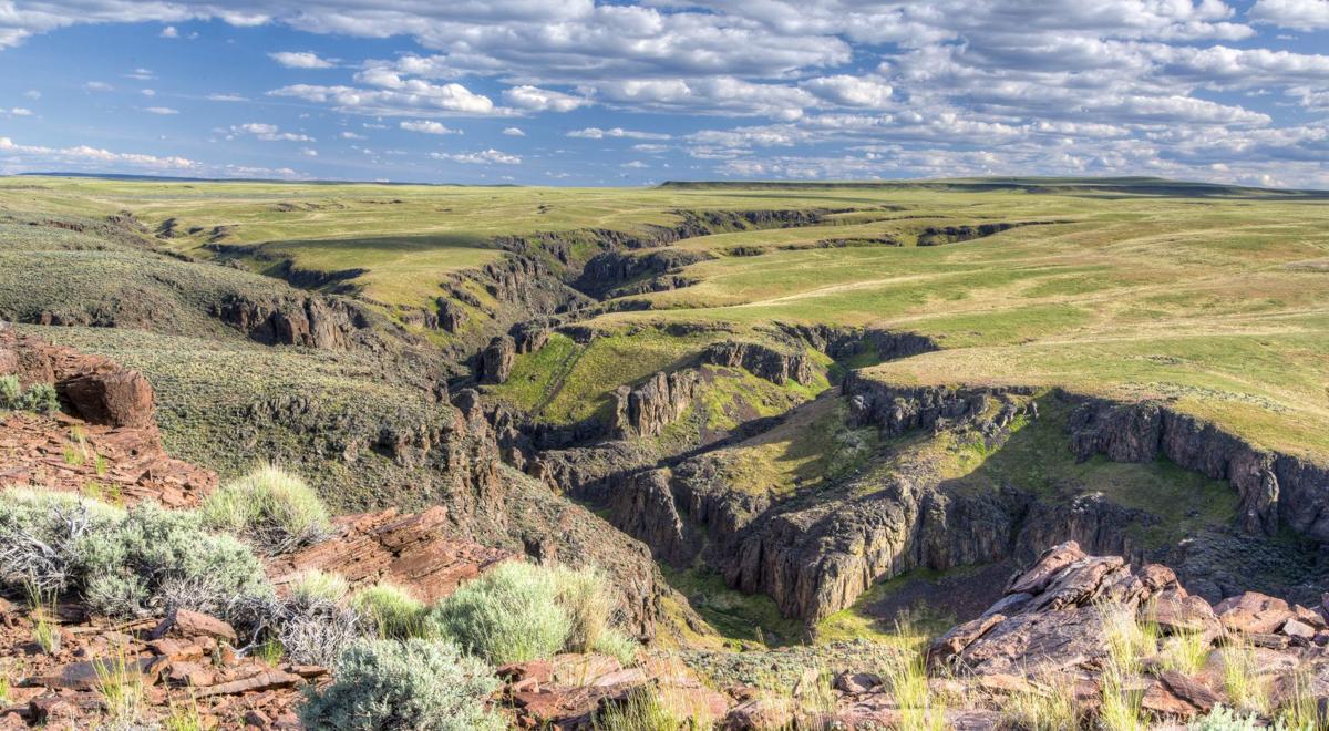 The Owyhee Initiative collaborative An Idaho success story Idaho