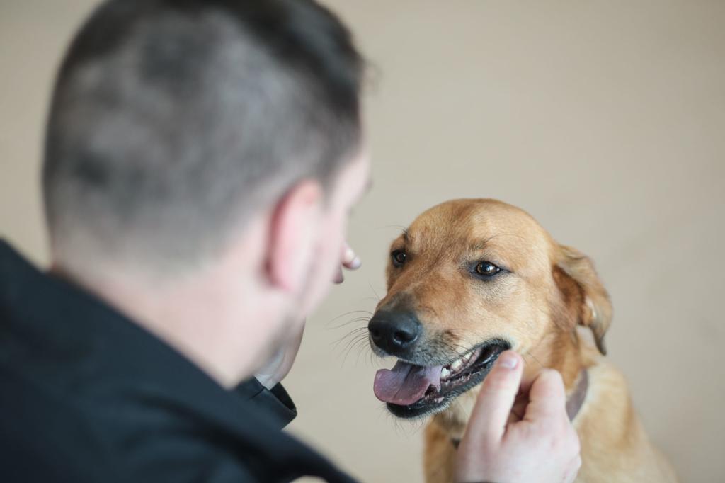 Work Like A Dog Idaho K9 Academy Expanding To Assist More People