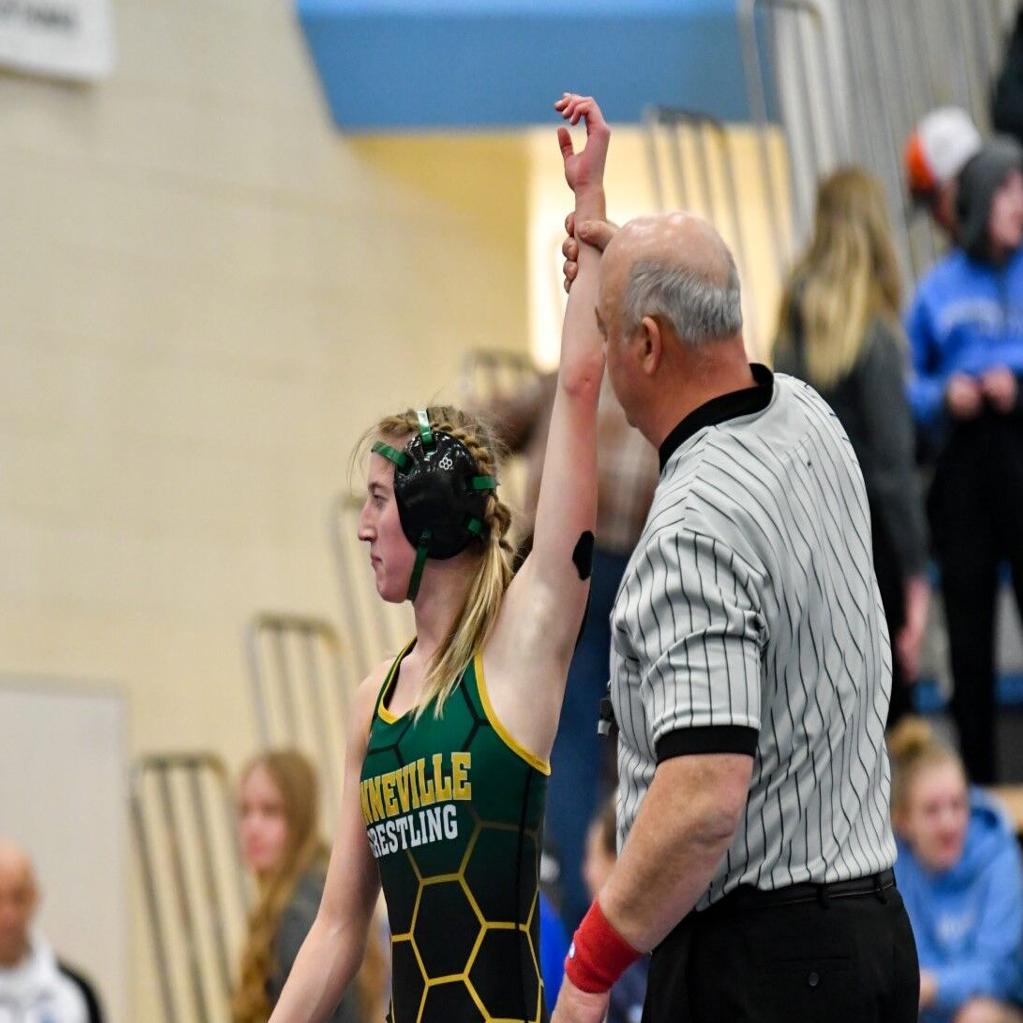 HIGH SCHOOL GIRLS WRESTLING: Rigby wins district team title as tickets  punched to state | PR Preps | postregister.com, image size:1200x1200