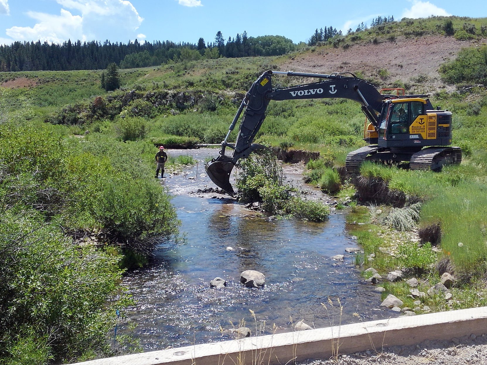 Bringing Back A Stream: Tincup Creek Project Enters Final Season Of ...