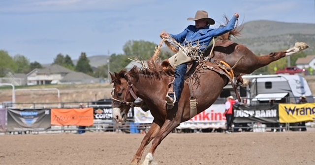 Mackay rodeo: still wild after 80 years