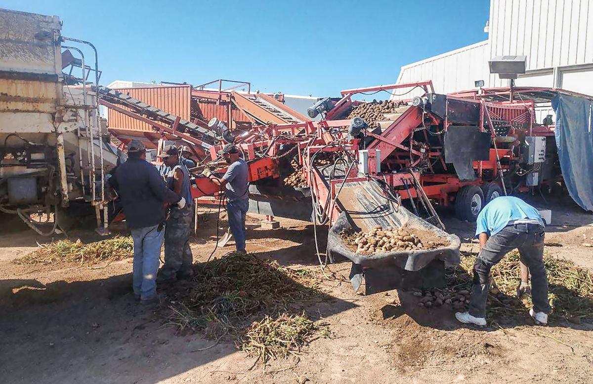 Isu Grant To Help Migrant Workers And Their Families Earn Geds Idaho Postregister Com