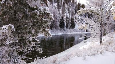 ShelleyRiver1.jpg