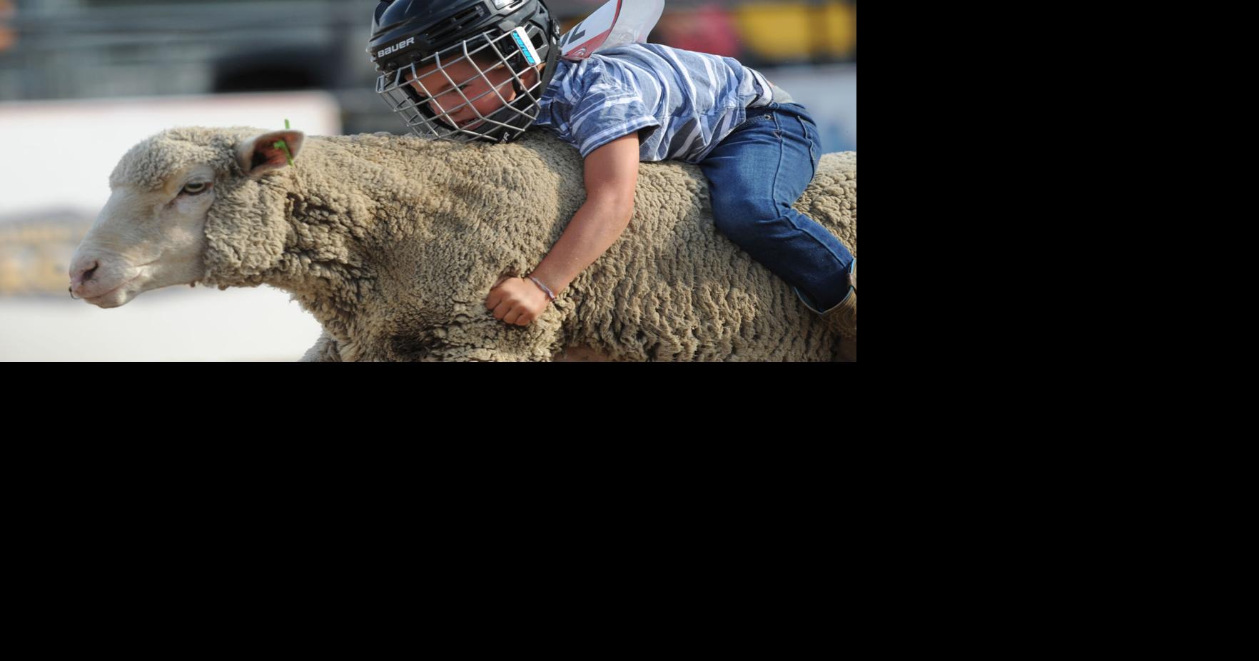 111th War Bonnet Round Up begins today | Local News ...