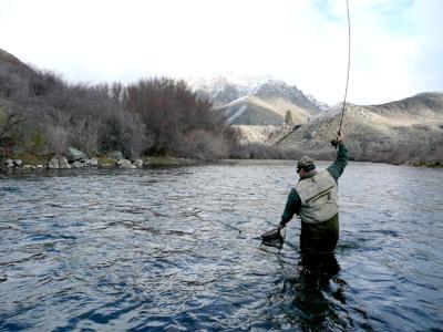 Fish and Game Commission amends nonresident license ...