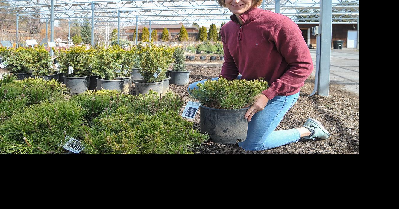 Pocatello Greenhouse hosts grand opening amid pandemic Eastern Idaho