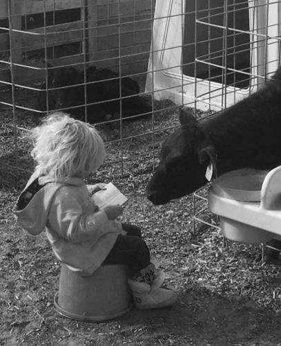 Dairy spotlight: Liberty Ranch Dairy | Western Life | postregister.com
