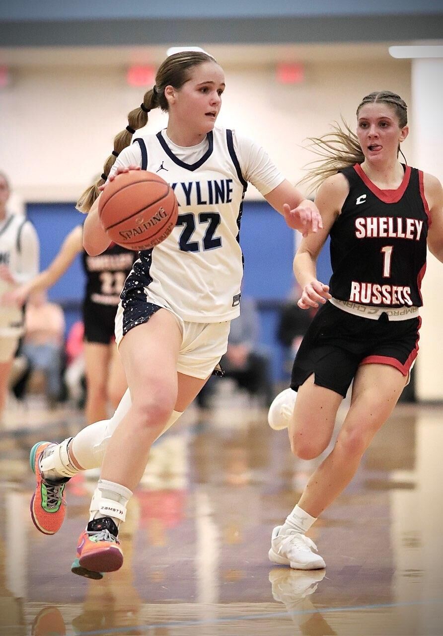 HIGH SCHOOL GIRLS BASKETBALL All conference teams