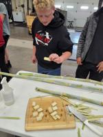 Mackay FFA students harvest a taste of the tropics in their greenhouse