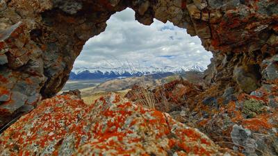 LichenLostRiversWindowRock.jpg